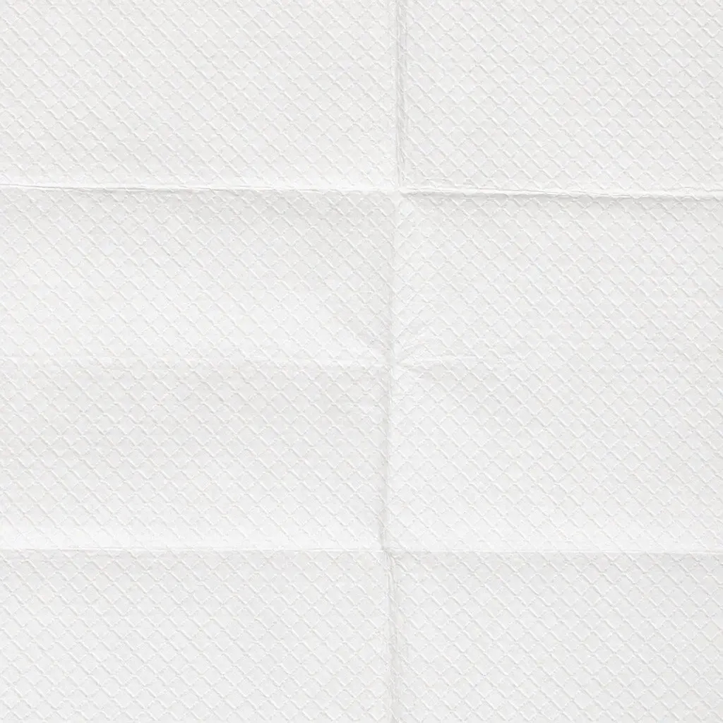Dog Training Pad 60x60cm Absorbent Non-Woven Odour Control