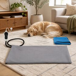 Elevate Your Space with This Heated Dog Bed