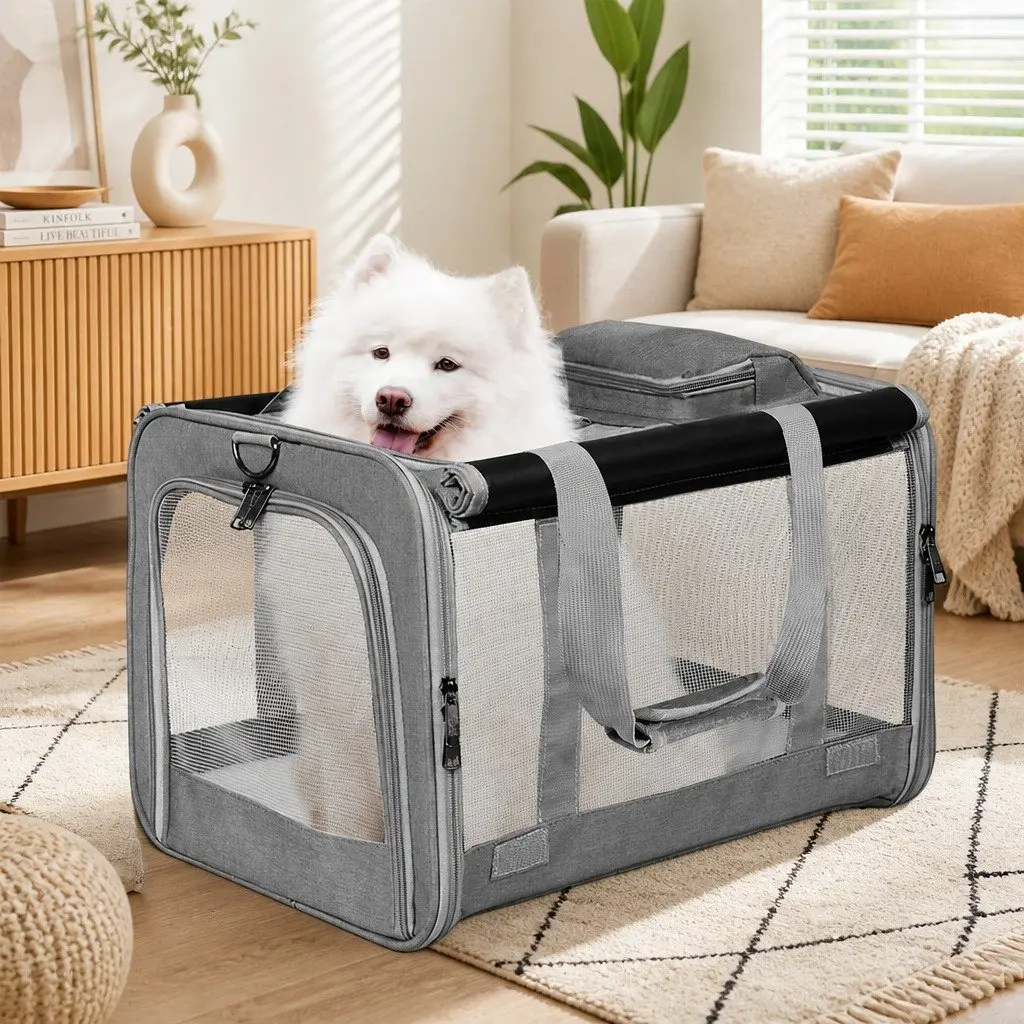 Pet Carrier Bag XL Portable Foldable Mesh Shoulder Crossbody