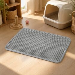 Transform Your Space with a Large Cat Litter Mat