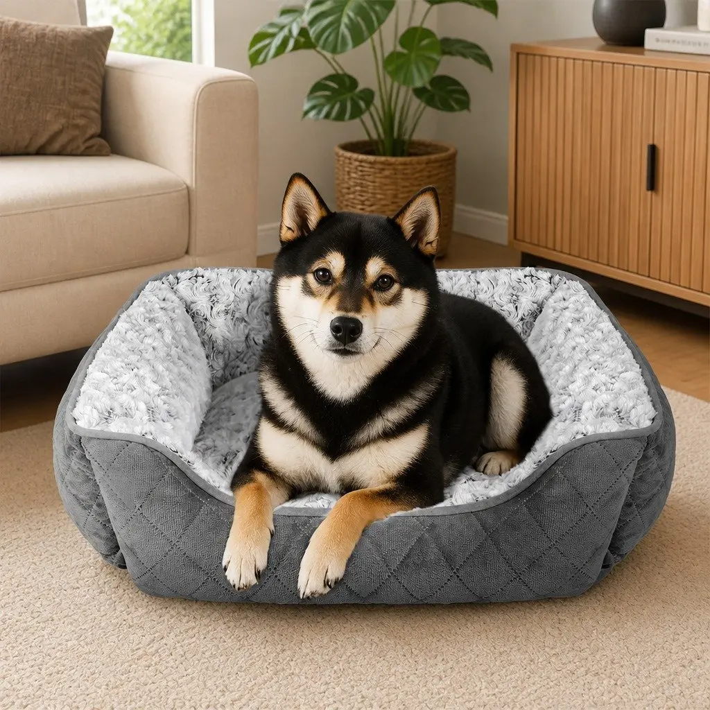 Large Orthopedic Dog Bed
