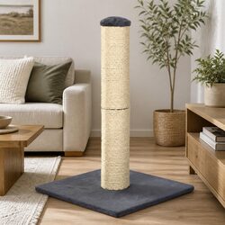 Enhance Your Living Space with a Cat Scratching Post