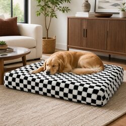 Comfort and Style: Orthopedic Dog Bed for Your Pet