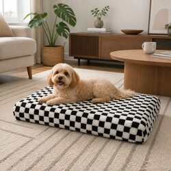 Enhance Your Home with a Cozy Orthopedic Dog Bed