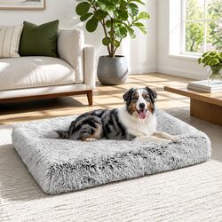 Elevate Your Pet's Comfort with Our Plush Bed - Size L