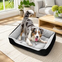 Enhance Your Home with the PawFriends Pet Bed