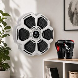 Interactive Boxing Machine for a Healthier Home Workout
