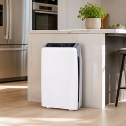 Enhance Your Living Space with 4 Stage Air Purifier
