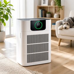 Enhance Your Home with a Pet Air Purifier