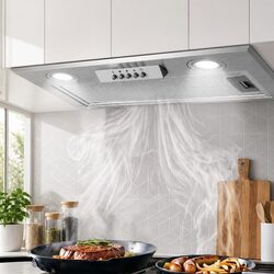 Enhance Your Kitchen with the 520mm Stainless Steel Range Hood