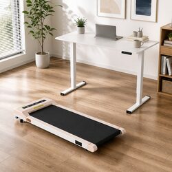Electric Standing Desk with Treadmill Walking Pad 120cm Motorised Height