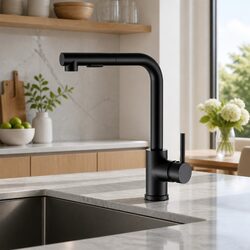 Kitchen Mixer Tap Pull Out Swivel 2 Mode Sink Basin Faucet Black Rectangle WELS