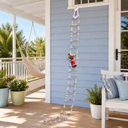 Enhance Your Outdoors with 300 LED Multicolour Ladder Lights