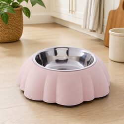 Enhance Your Space with Stylish 2 in 1 Pet Bowl