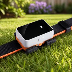 Enhance Your Pet’s Safety with a GPS Tracker