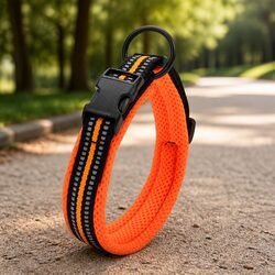 Elevate Your Dog's Safety with a Reflective Collar Large Orange