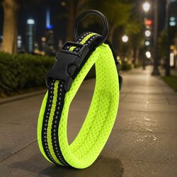 Elevate Your Pet's Safety with This Reflective Dog Collar XS