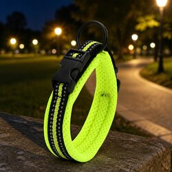 Reflective Safety Dog Collar XL for Active Lifestyles