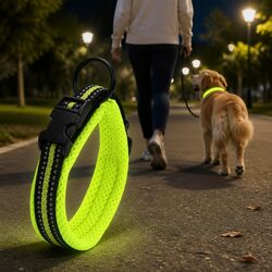 Reflective Dog Collar for Nighttime Safety and Visibility