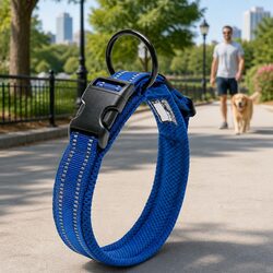 Reflective Dog Collar That Enhances Outdoor Adventures