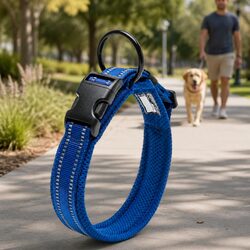 Enhance Your Dog's Safety with a Reliable Collar