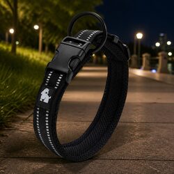 Reflective Dog Collar for Safety and Style in Your Life