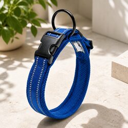 Reflective XL Dog Collar Enhancing Your Evening Walks