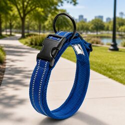 Reflective Blue Dog Collar with Safety Lock, 2XL Size