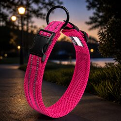 Reflective Dog Collar for Enhanced Nighttime Safety