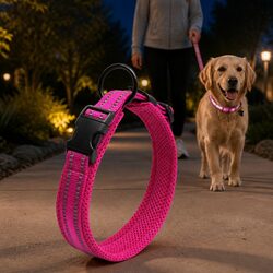 Reflective Dog Collar for Enhanced Safety and Visibility