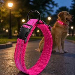 Enhanced Visibility Dog Collar for Night Walks