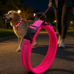 Stylish Pink Dog Collar with Reflective Features 2XL