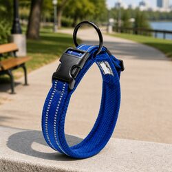 Reflective Dog Collar to Enhance Your Outdoor Experience