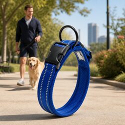 Reflective Dog Collar for Enhanced Safety and Style