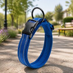 Enhance Your Pet's Safety with This Blue Reflective Dog Collar 2XL
