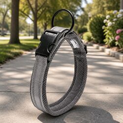 Enhance Your Dog's Safety and Visibility with This Reflective Collar