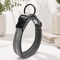 Enhance Your Dog's Safety with this XS Grey Collar