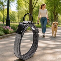 Heavy Duty Dog Collar with Reflective Safety Features for Visibility