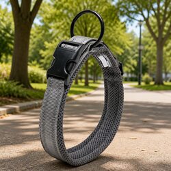 Enhance Your Dog's Safety with a 3XL Reflective Collar