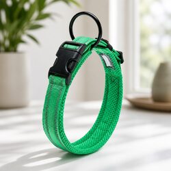 Reflective Dog Collar Enhancing Safety and Style