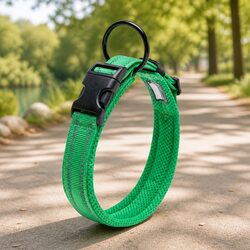 Reflective Dog Collar for Enhanced Visibility with Safety Lock Clip