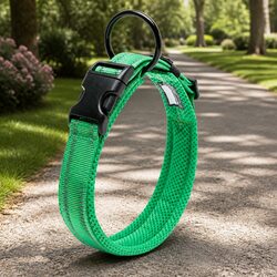 XL Reflective Dog Collar Enhancing Your Evening Walks