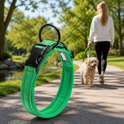 Elevate Your Dog's Safety with This Reflective Collar