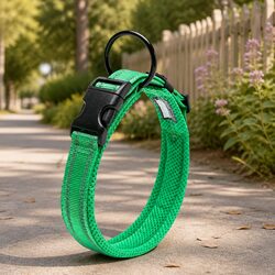 3XL Reflective Dog Collar in Green for a Safer Night Walk