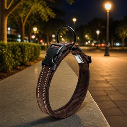 Enhance Your Dog's Safety with Reflective Collar