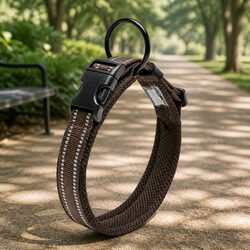 Enhance Your Walks with a Reflective Dog Collar