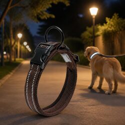 Reflective Dog Collar for a Safer Evening Walk