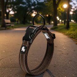 Enhance Your Dog's Safety with a Heavy Duty Collar