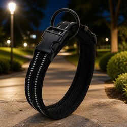 Enhance Your Walks with a Reliable Dog Collar