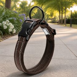 Reflective Dog Collar for Enhanced Nighttime Safety